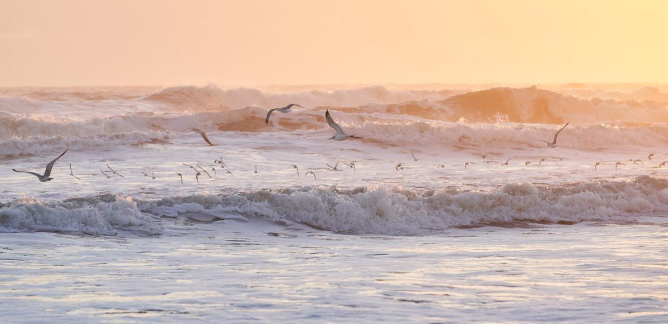 The Maverick Ormond Beach Eksteriør bilde